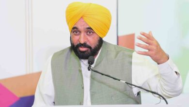 CM Mann in Investor Punjab