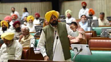 CM Mann