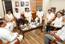 Pb Congress Meeting