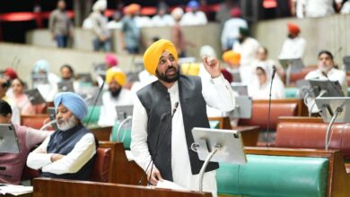CM Pb Bhagwant Mann