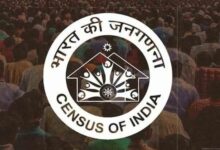 Pb Census